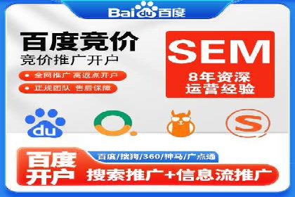 某电商平台的SEM推广策略及效果分析